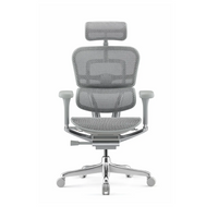 Sillón Ergohuman RM-9100
