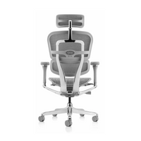 Sillón Ergohuman RM-9100