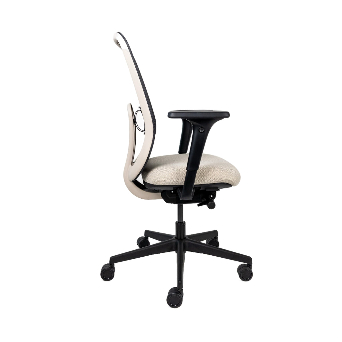 Sillón Julia Tortora (RE-2500-TR)
