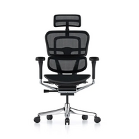Sillón Ergohuman (RM-9100/NG)