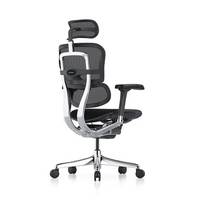 Sillón Ergohuman (RM-9100/NG)