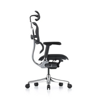 Sillón Ergohuman (RM-9100/NG)